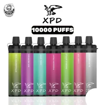 Xpd Bar R Shisha 10000 Puffs Disposable Vape in UAE